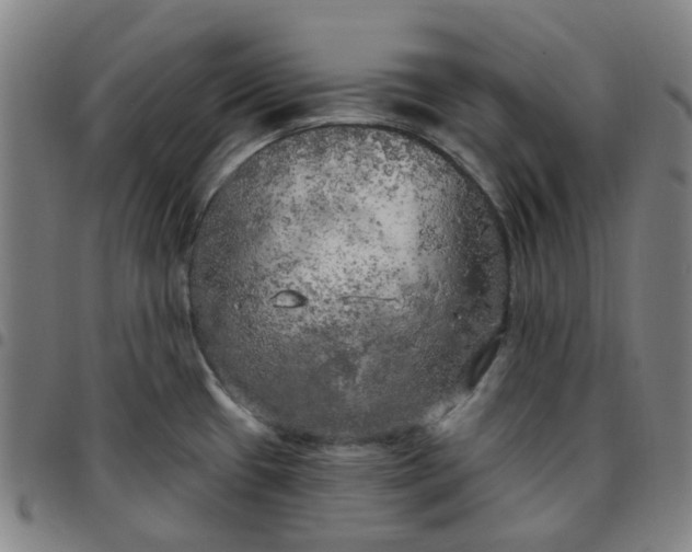 X0000097511433200803071814