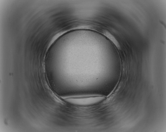 X0000097511436200803071814