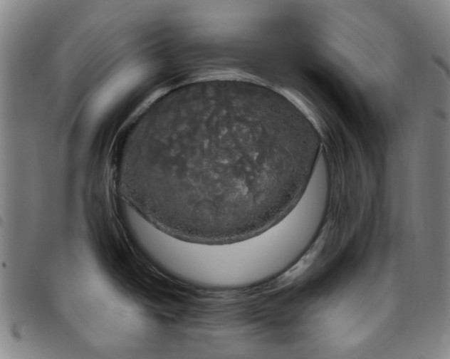 X0000097511438200803071814