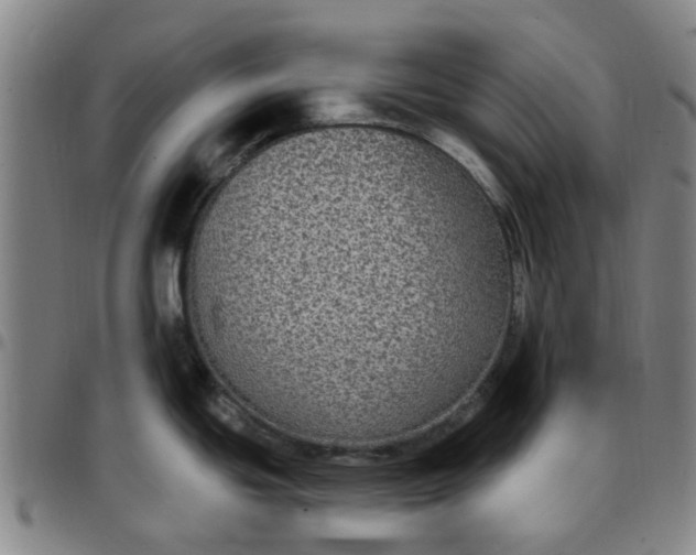 X0000097511439200803071815