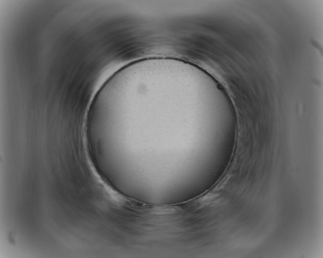 X0000097511440200803071815