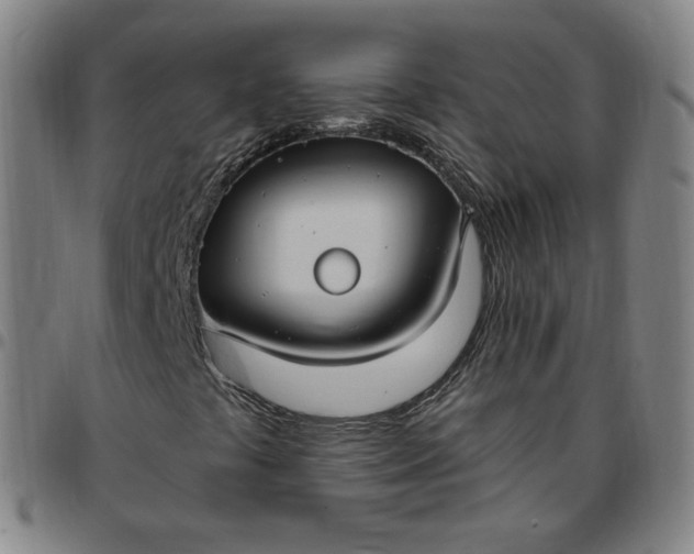 X0000097511441200803071814