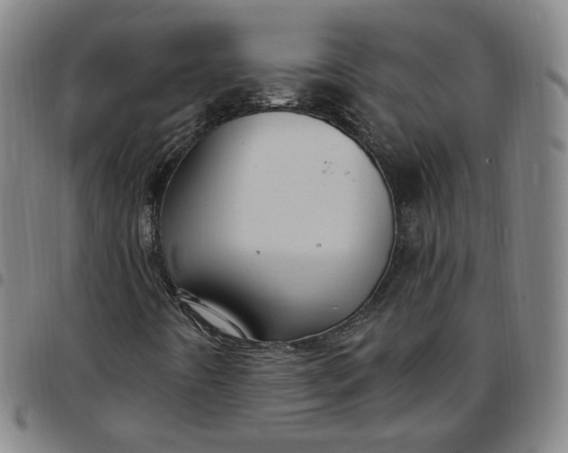 X0000097511442200803071814