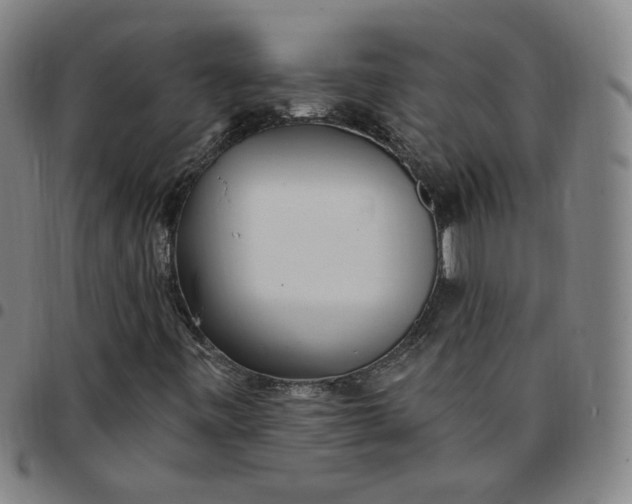 X0000097511443200803071814