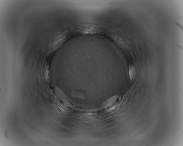 X0000097511444200803071814