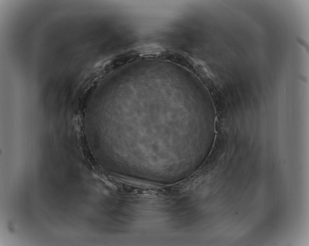 X0000097511445200803071814