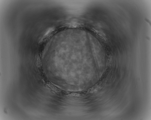 X0000097511446200803071814