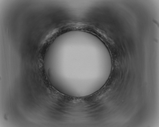 X0000097511447200803071814