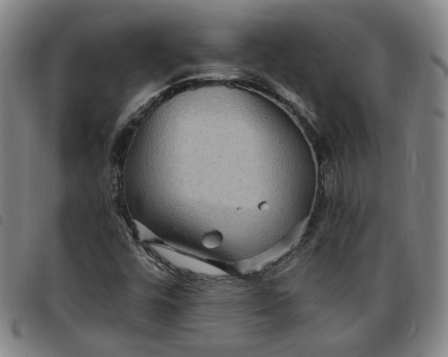 X0000097511448200803071814