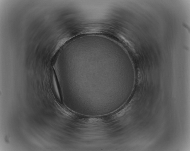 X0000097511449200803071814