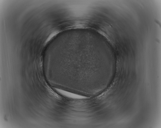 X0000097511450200803071814