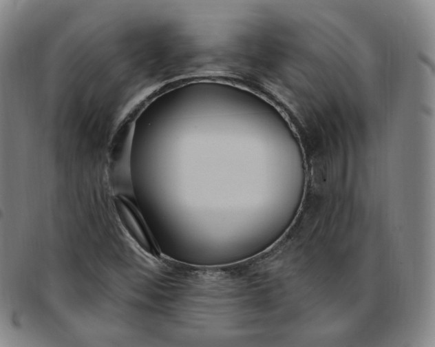 X0000097511452200803071814