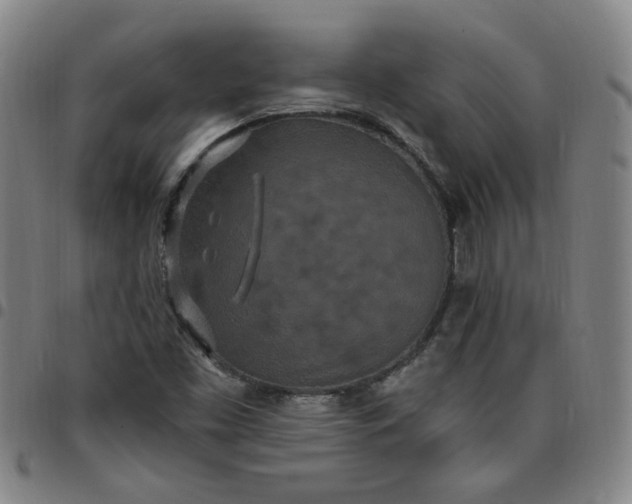 X0000097511453200803071814