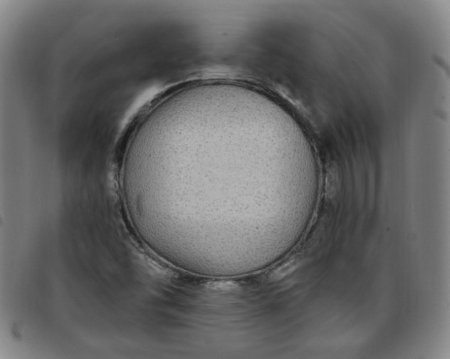 X0000097511454200803071814