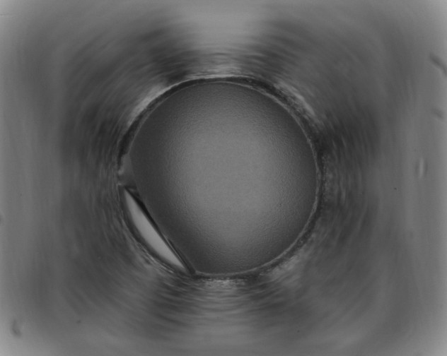 X0000097511457200803071814