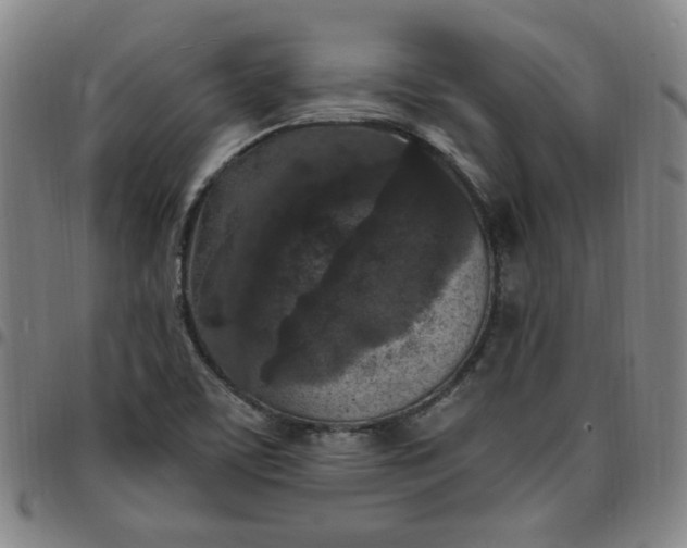 X0000097511459200803071814