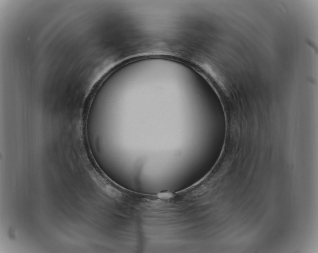 X0000097511460200803071814