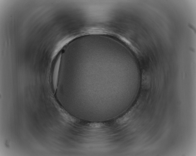 X0000097511461200803071814