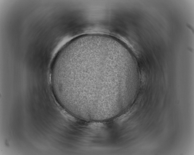 X0000097511462200803071814