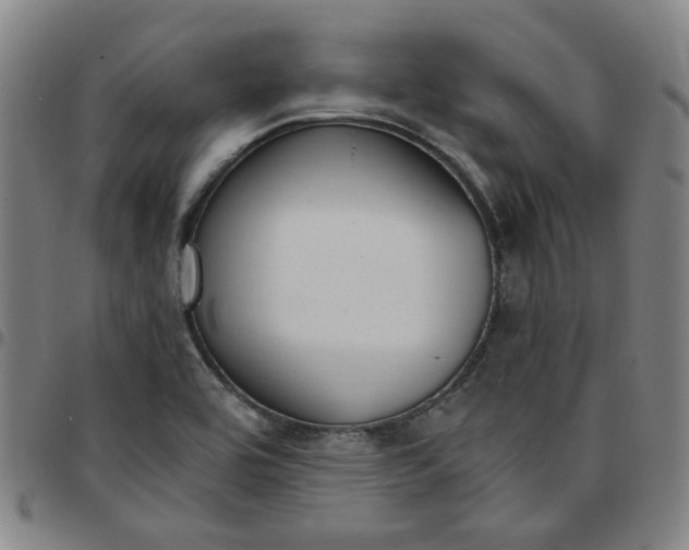 X0000097511464200803071813