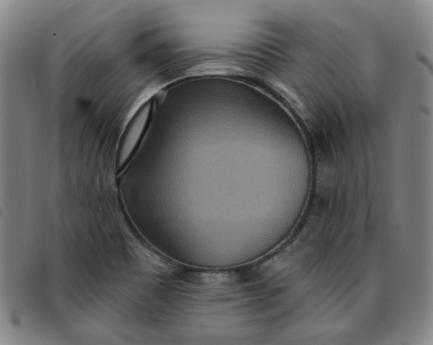 X0000097511465200803071813