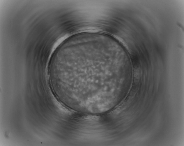 X0000097511466200803071813