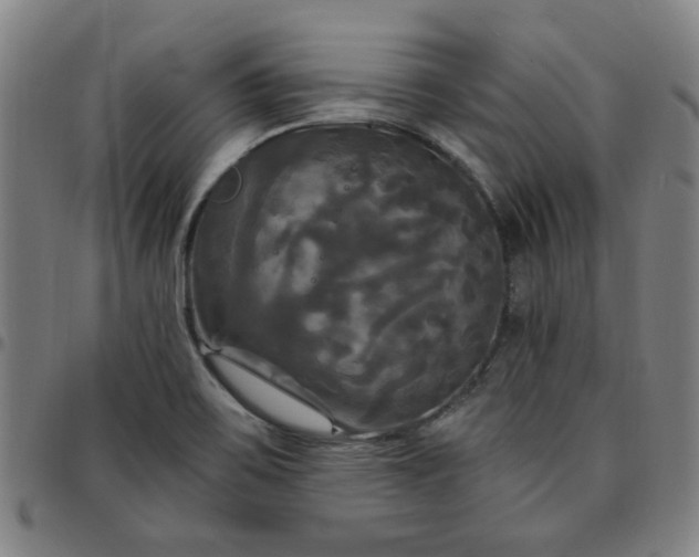 X0000097511467200803071813