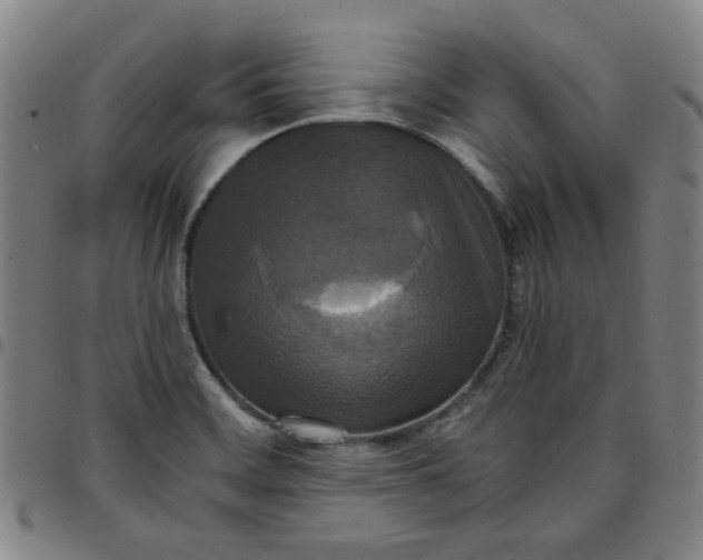 X0000097511468200803071813