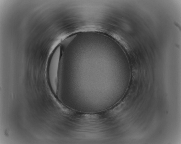 X0000097511469200803071813