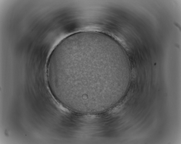 X0000097511470200803071813