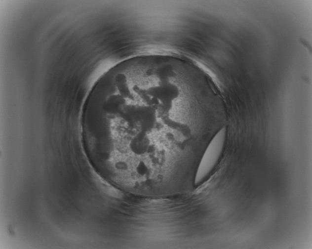 X0000097511471200803071813