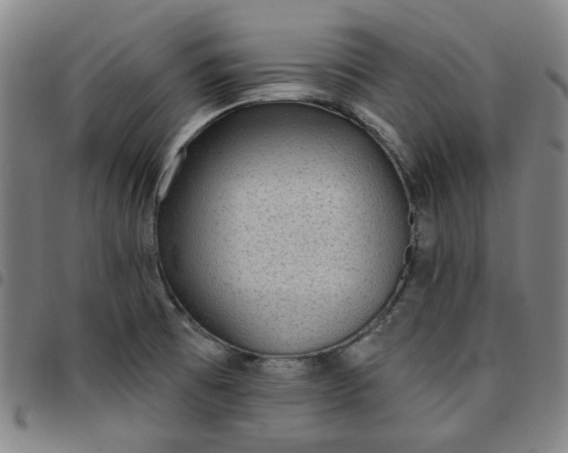 X0000097511473200803071813