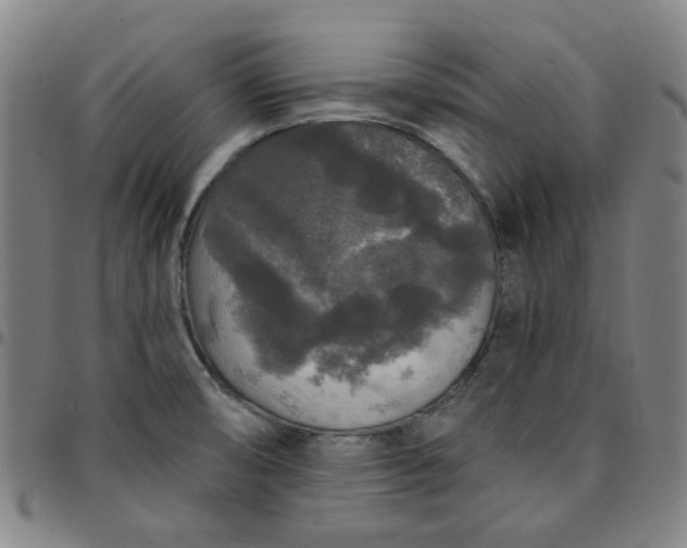 X0000097511474200803071813