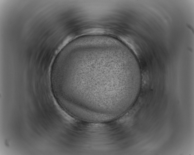 X0000097511475200803071813