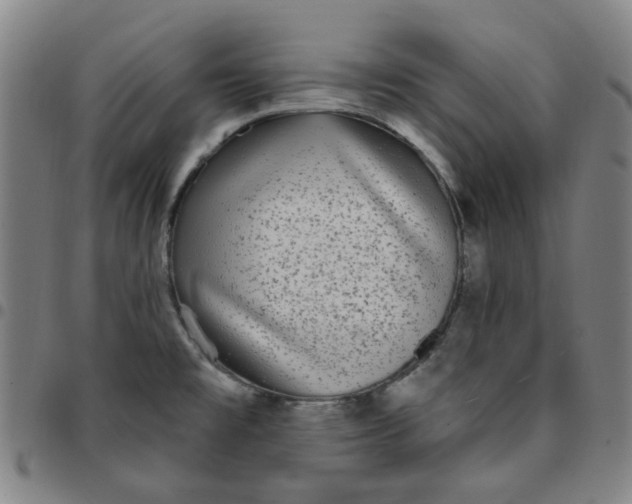 X0000097511477200803071813