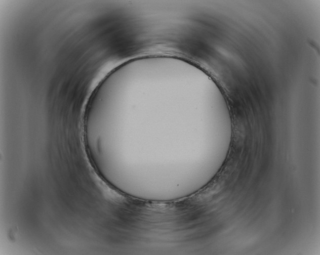 X0000097511478200803071813