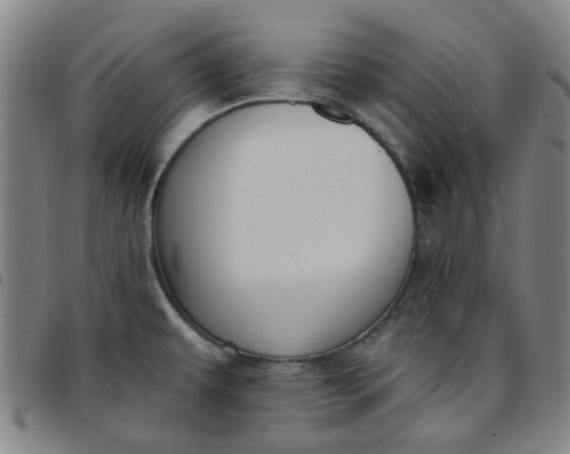 X0000097511479200803071813