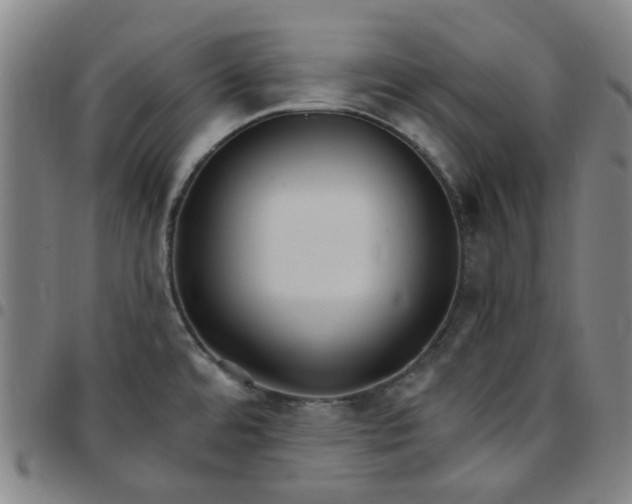 X0000097511480200803071813