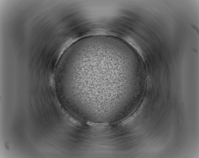 X0000097511481200803071813