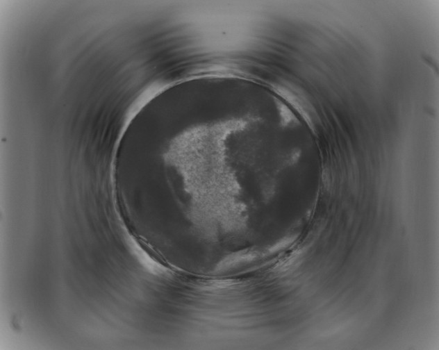 X0000097511482200803071813