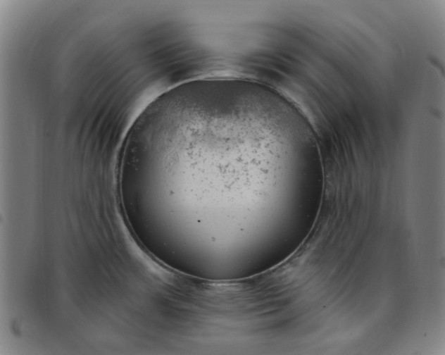 X0000097511483200803071813