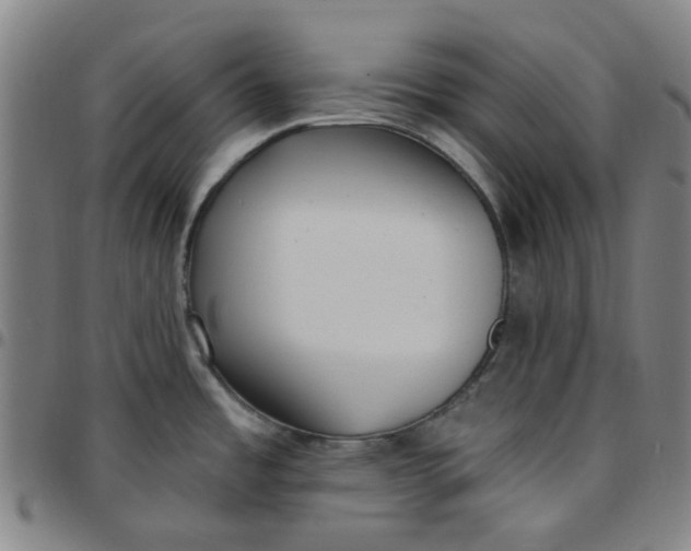 X0000097511485200803071813