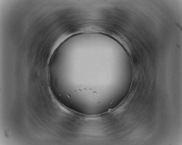 X0000097511486200803071813