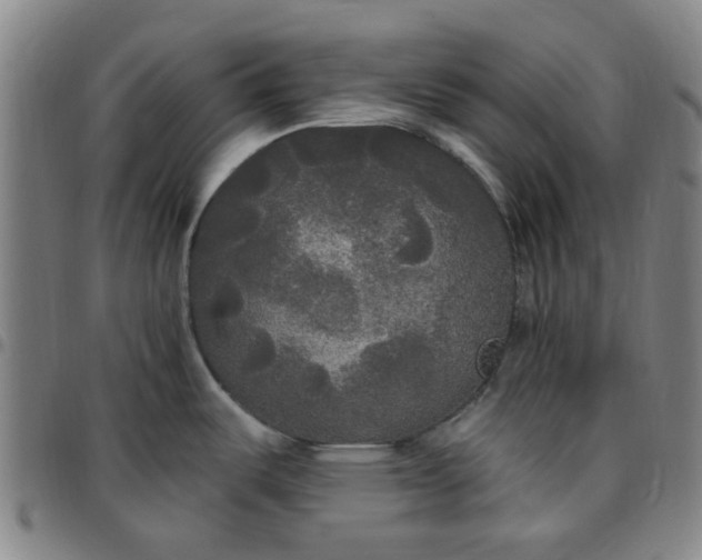 X0000097511487200803071813