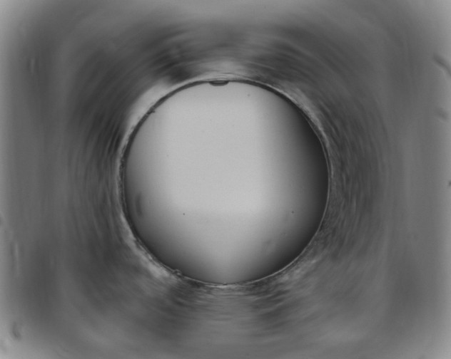 X0000097511488200803071813