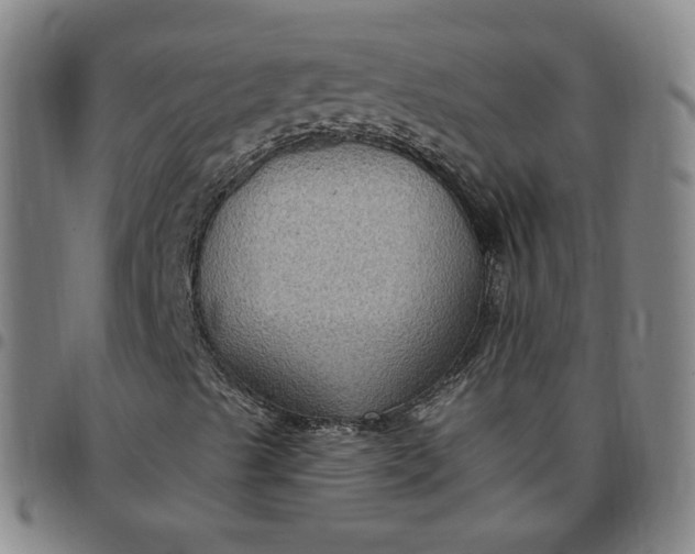 X0000097511489200803071812