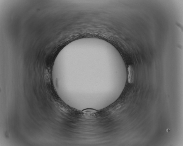 X0000097511491200803071812