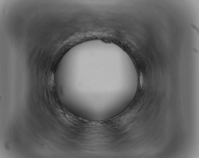 X0000097511492200803071812