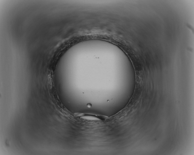 X0000097511493200803071812