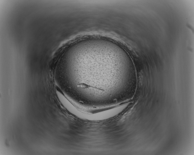 X0000097511494200803071812